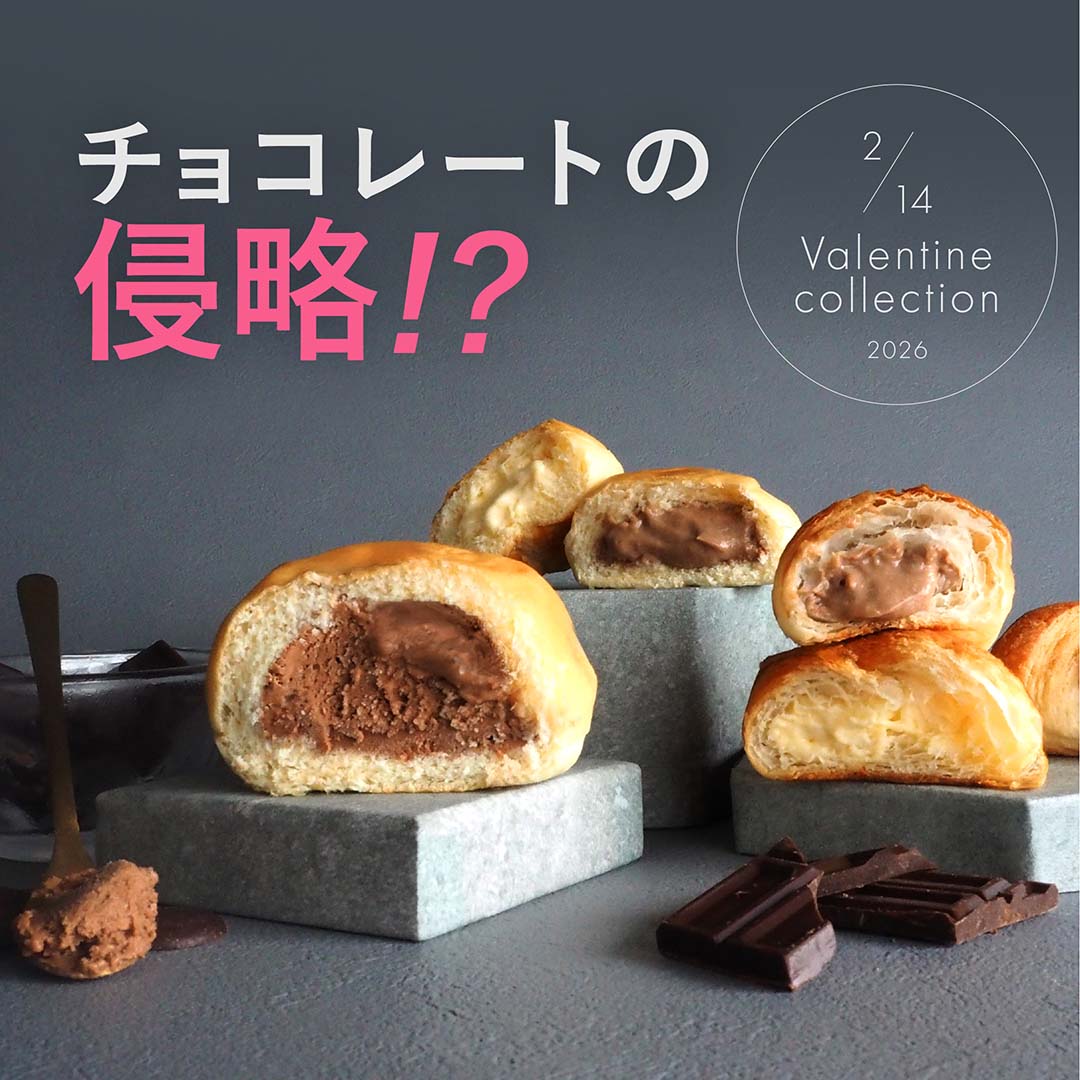 [C251] ほぼチョコレートBOX！6個詰合せ(5種)