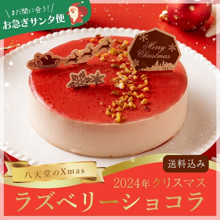 クリスマスケーキ【お急ぎサンタ便】